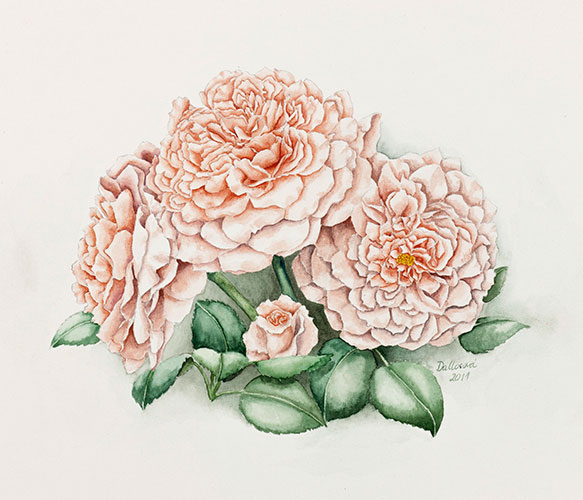 Janka Watercolor Flower arrangement with red peonies